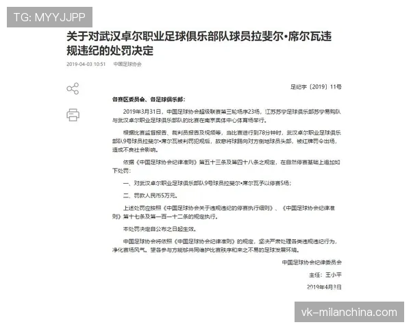 纪律委员会如何判定球员停赛？处罚标准全解析